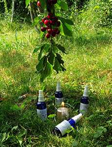Herzenswunschritual