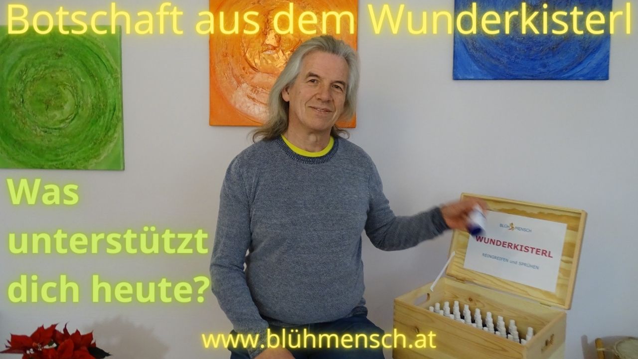 bluehmensch-botschaft-wunderkisterl