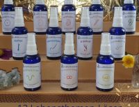 12-basis-steinbluetenessenzen 12 Lebensthemen-Löser