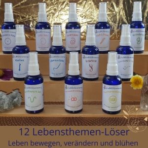 12-basis-steinbluetenessenzen 12 Lebensthemen-Löser